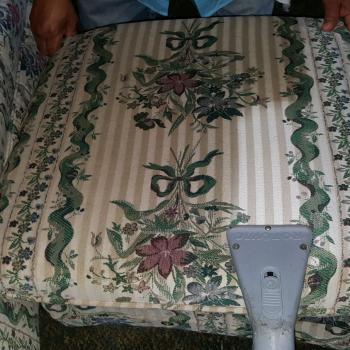 Upholstery Cleaning Gallery 5